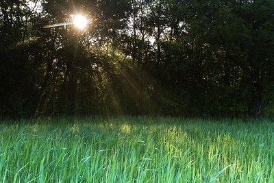BUITEN BEELD Foto: 133004