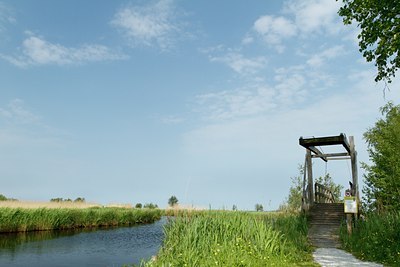 BUITEN BEELD Foto: 133010