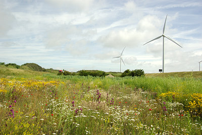 BUITEN BEELD Foto: 133023