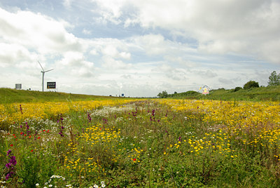 BUITEN BEELD Foto: 133025