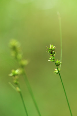 BUITEN BEELD Foto: 133071