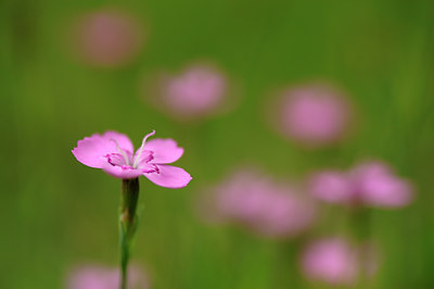 BUITEN BEELD Foto: 133078