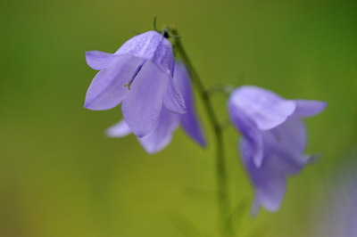 BUITEN BEELD Foto: 133080