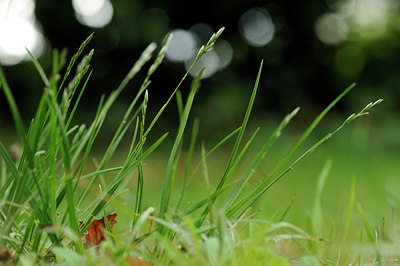 BUITEN BEELD Foto: 133118