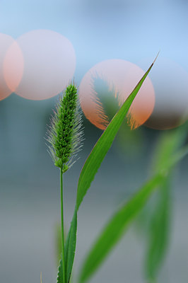 BUITEN BEELD Foto: 133122