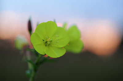 BUITEN BEELD Foto: 133123