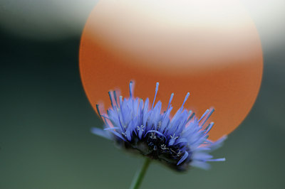 BUITEN BEELD Foto: 133124