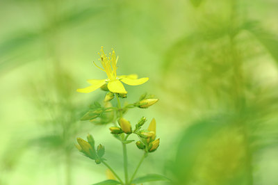 BUITEN BEELD Foto: 133233