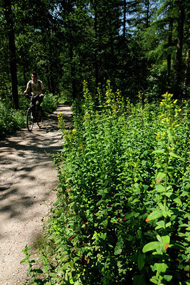 BUITEN BEELD Foto: 133243