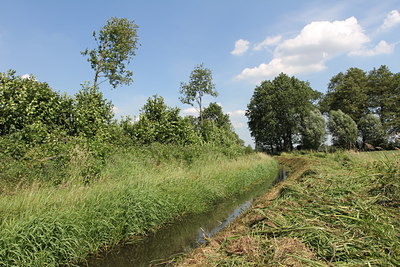 BUITEN BEELD Foto: 133275