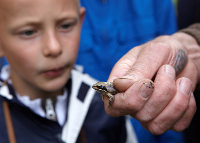 BUITEN BEELD Foto: 133295