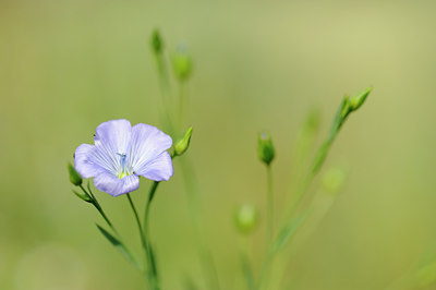 BUITEN BEELD Foto: 133317