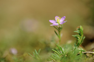 BUITEN BEELD Foto: 133326