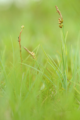 BUITEN BEELD Foto: 133368