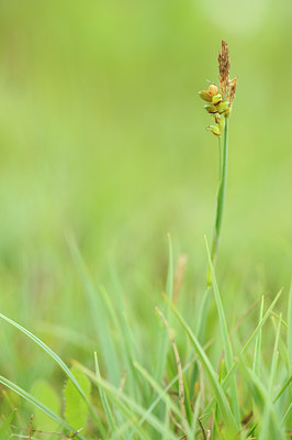 BUITEN BEELD Foto: 133369