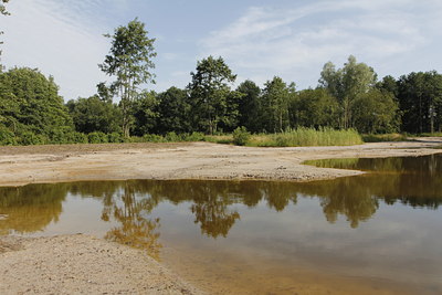 BUITEN BEELD Foto: 133393