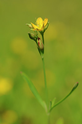 BUITEN BEELD Foto: 133409