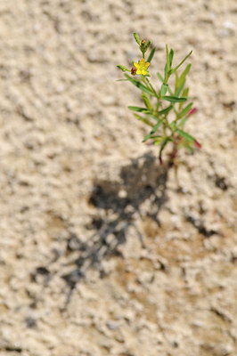 BUITEN BEELD Foto: 133413