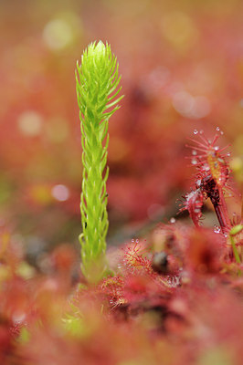 BUITEN BEELD Foto: 133480