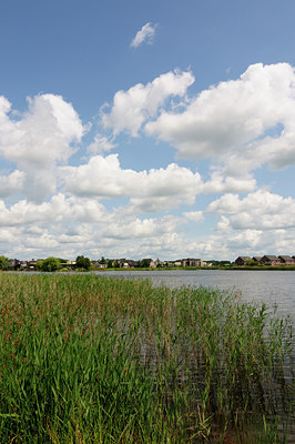 BUITEN BEELD Foto: 133508