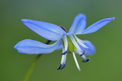 BUITEN BEELD Foto: 133521