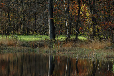 BUITEN BEELD Foto: 133541