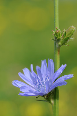 BUITEN BEELD Foto: 133546