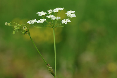 BUITEN BEELD Foto: 133552