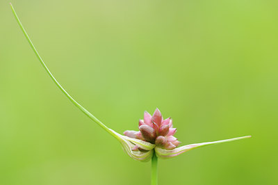 BUITEN BEELD Foto: 133556