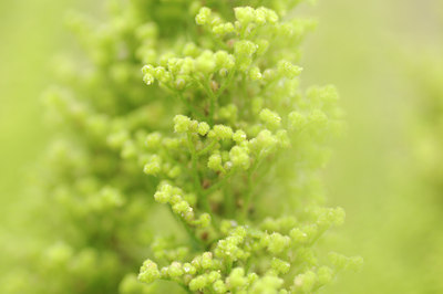 BUITEN BEELD Foto: 133564