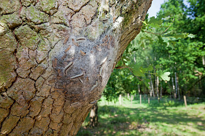 BUITEN BEELD Foto: 133634