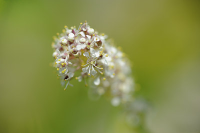 BUITEN BEELD Foto: 133703