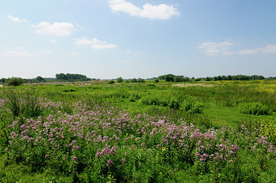 BUITEN BEELD Foto: 133716