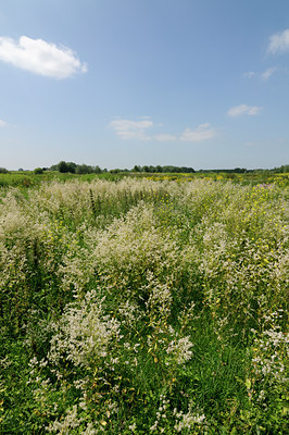 BUITEN BEELD Foto: 133717