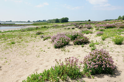 BUITEN BEELD Foto: 133725