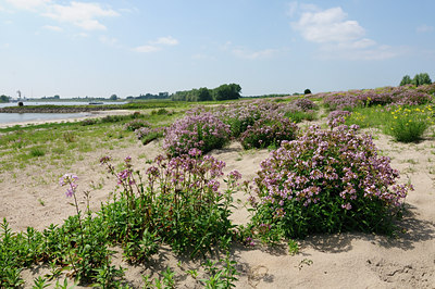 BUITEN BEELD Foto: 133726
