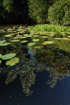 BUITEN BEELD Foto: 133738