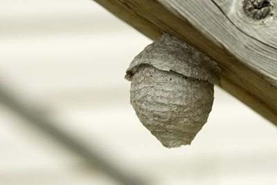 BUITEN BEELD Foto: 133740