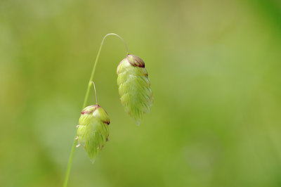 BUITEN BEELD Foto: 133768