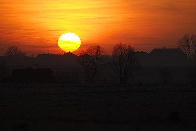 BUITEN BEELD Foto: 133819