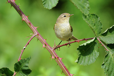 BUITEN BEELD Foto: 133834