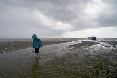 BUITEN BEELD Foto: 133885