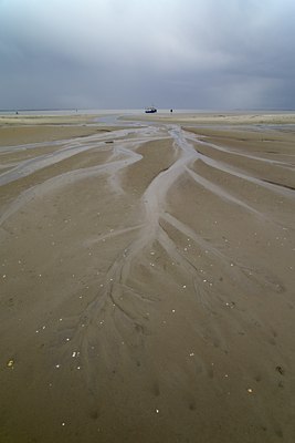 BUITEN BEELD Foto: 133901
