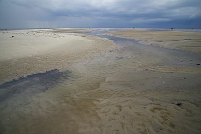 BUITEN BEELD Foto: 133903