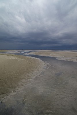BUITEN BEELD Foto: 133905