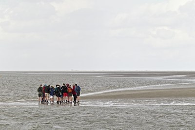 BUITEN BEELD Foto: 133917