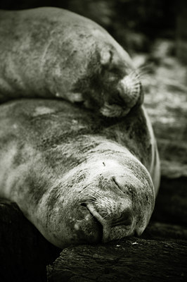 BUITEN BEELD Foto: 133959
