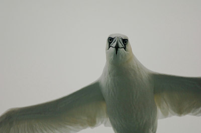 BUITEN BEELD Foto: 133970