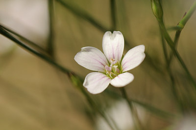 BUITEN BEELD Foto: 134015