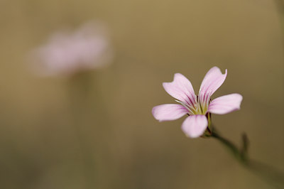 BUITEN BEELD Foto: 134017
